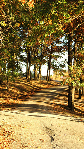 Image of town Reservior